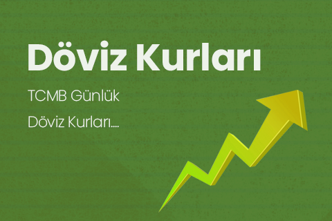Döviz Kurları