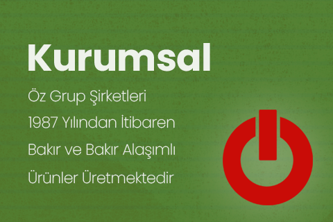 Kurumsal